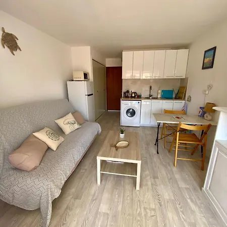 A 200 M De La Renove Avec Loggia 아그
